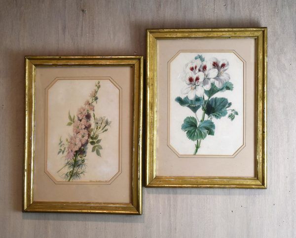 Pair of watercolours of flowers by Valentine Bartholomew 1799-1879