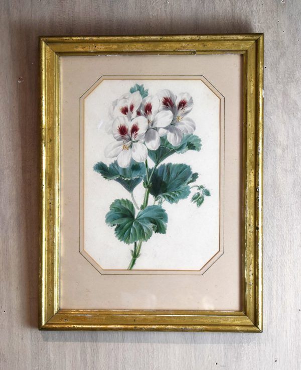 Pair of watercolours of flowers by Valentine Bartholomew 1799-1879 - Image 2