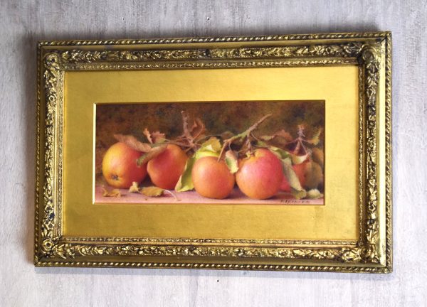 Still life watercolour of apples by Fred Spencer