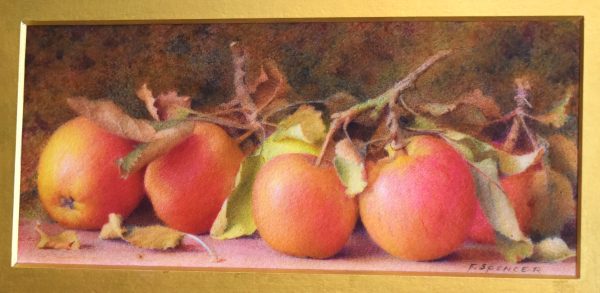 Still life watercolour of apples by Fred Spencer - Image 3