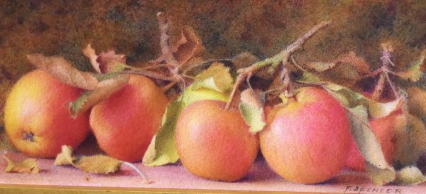 Still life watercolour of apples by Fred Spencer - Image 4