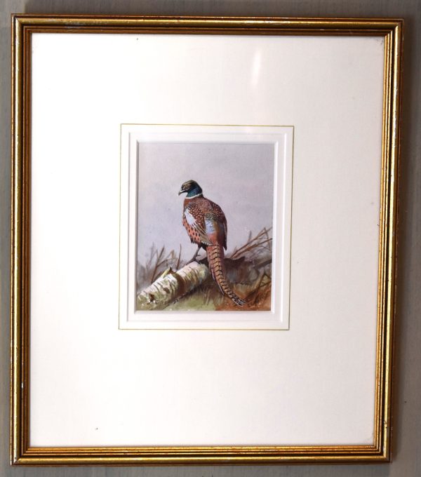 Pheasant watercolour by John Cyril Harrison - Image 2