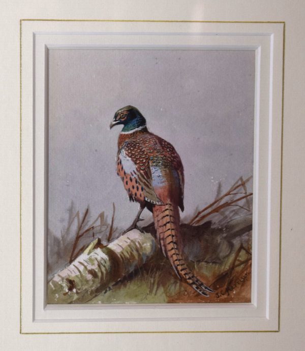 Pheasant watercolour by John Cyril Harrison - Image 5