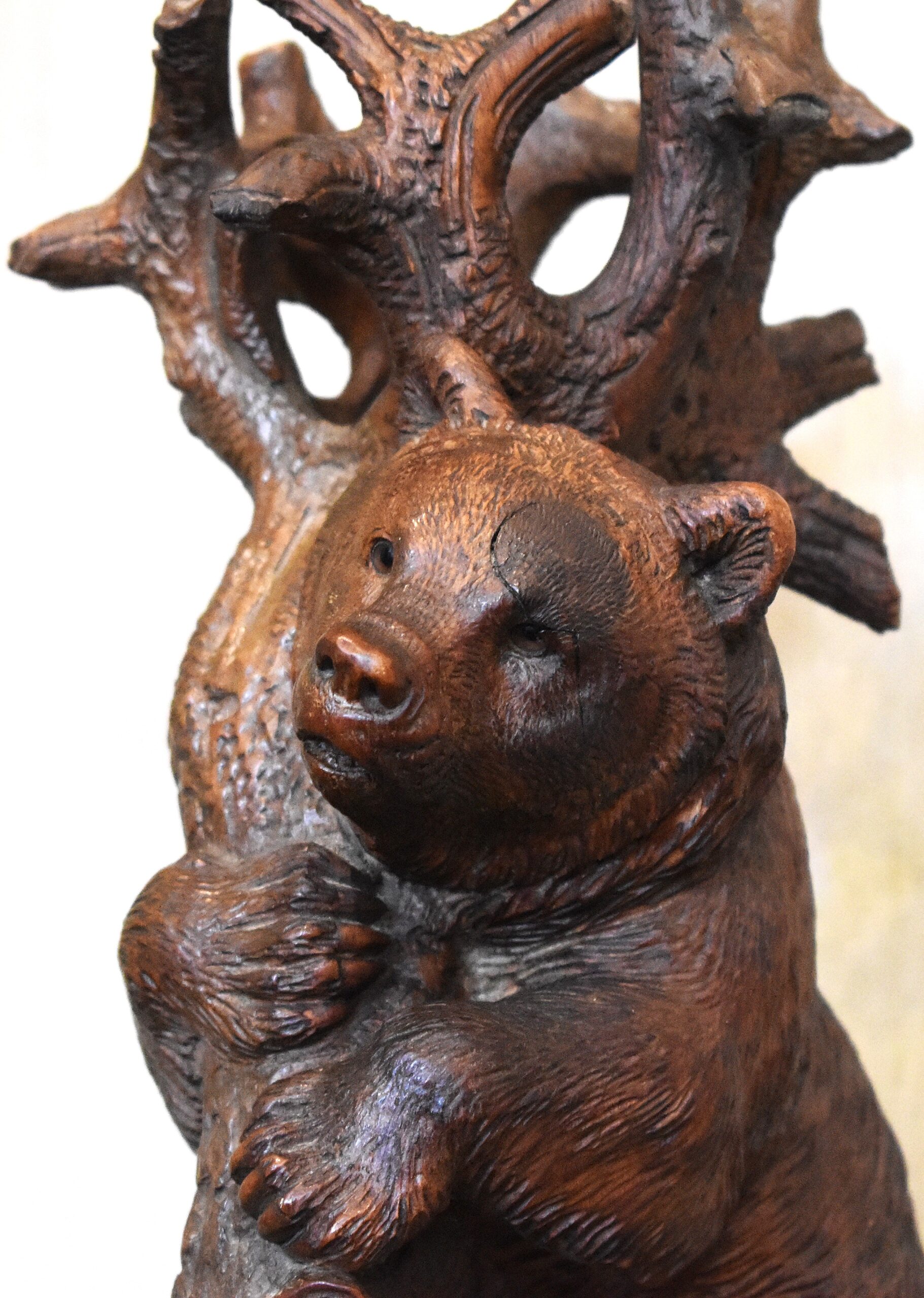 Black Forest carved wood bear - Image 4