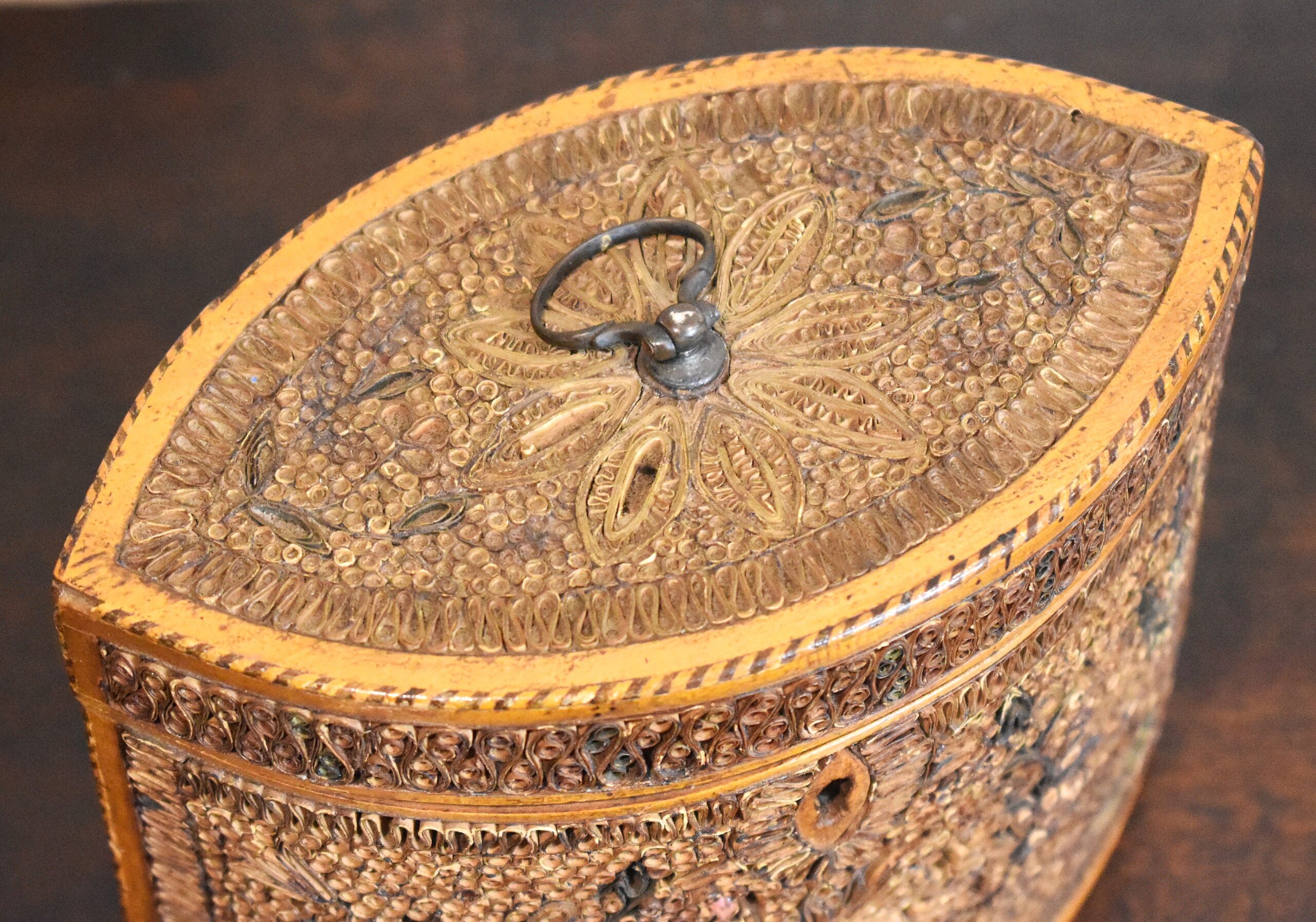 Georgian navette shaped paper scroll tea caddy - Image 5