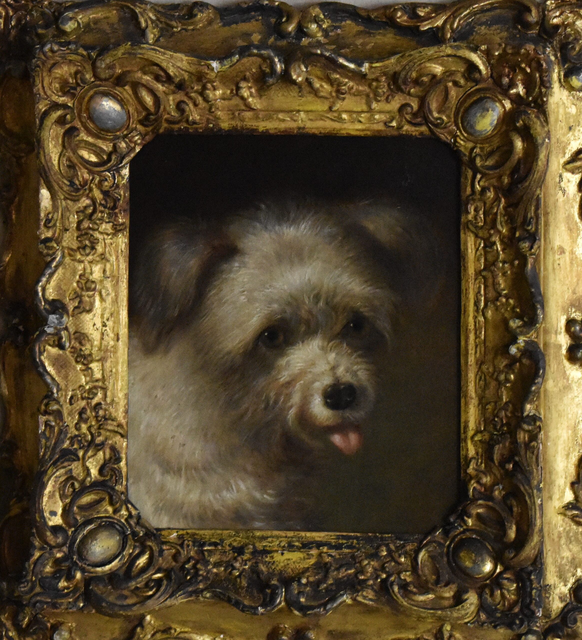 Dog portrait oil painting by Martin Theodore Ward 1799-1874 - Image 6