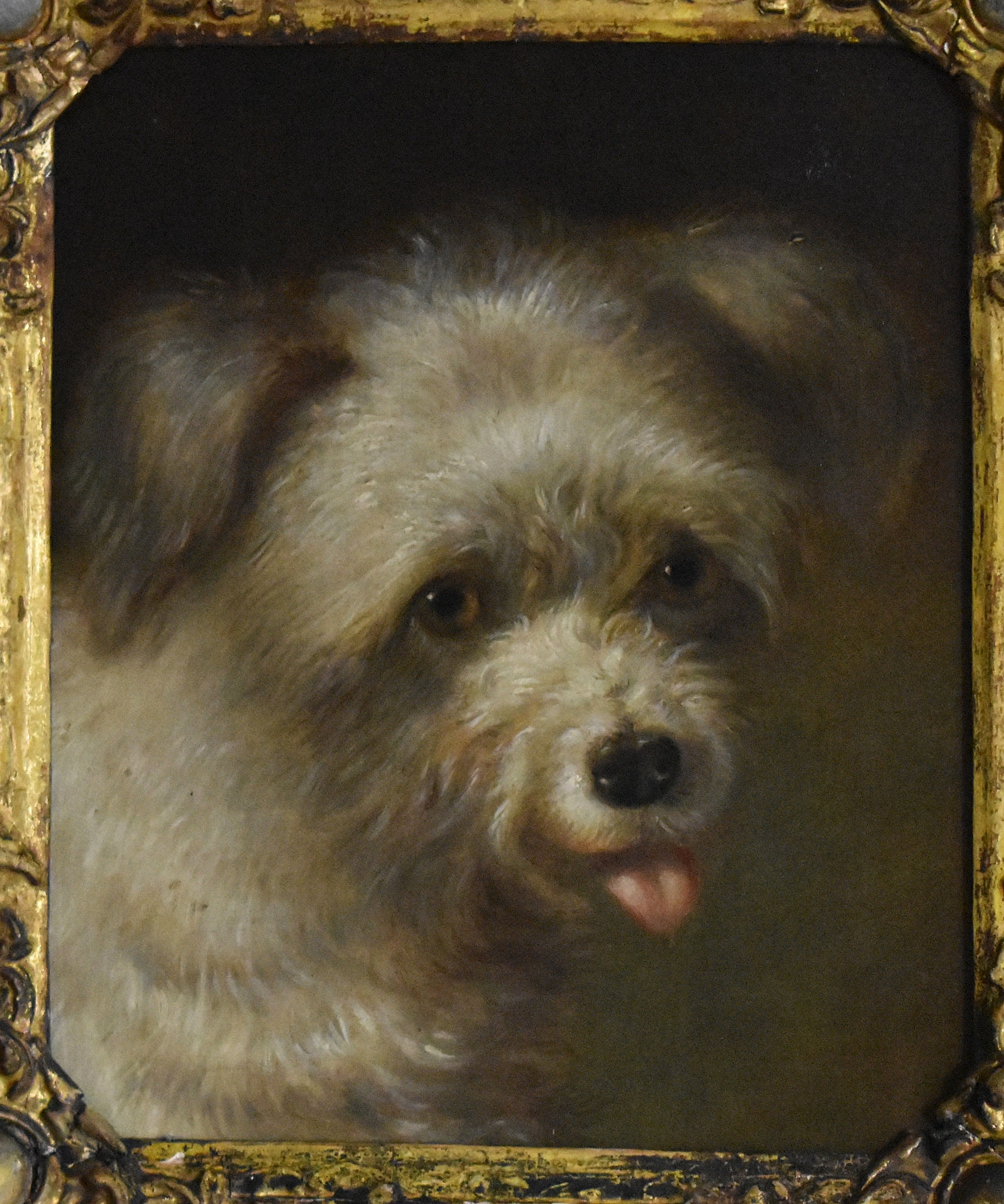Dog portrait oil painting by Martin Theodore Ward 1799-1874 - Image 5